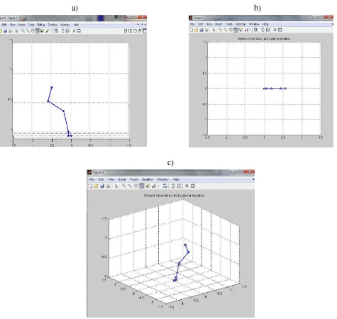 Figura IV.3.- Modelo cinemático de la pierna derecha en fase de contacto. a) Desde el plano sagital