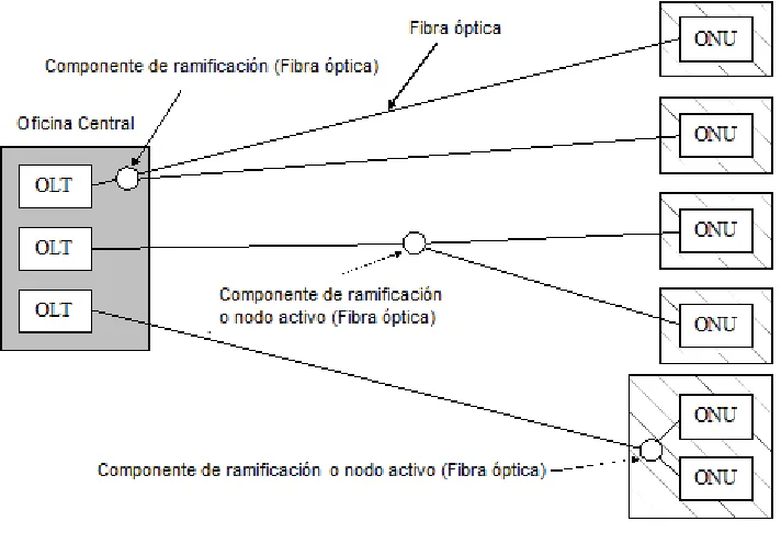 Figura 1-5. 