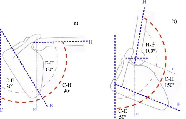 Figura III.8.- Elevación escapulohumeral. a) 2do Caso. b) 3er Caso. Siendo “C” El eje