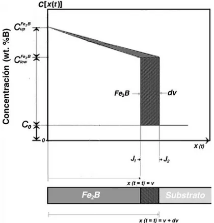 Figura  2.6  Representación  esquemática  del  perfil  de  concentración  de  boro  en  la  capa  Fe 2 B