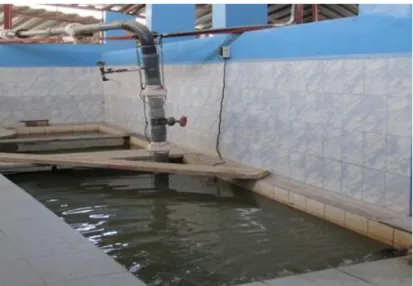 Figura 10 Bombeo de agua 