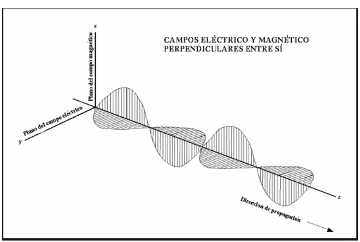 Fig.1. 2. Campo eléctrico y campo magnético. 