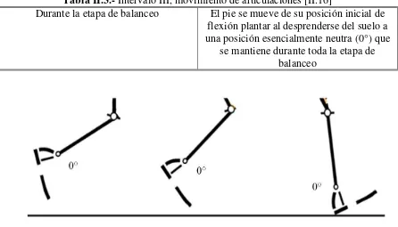 Tabla II.3.- Intervalo III, movimiento de articulaciones [II.16] 