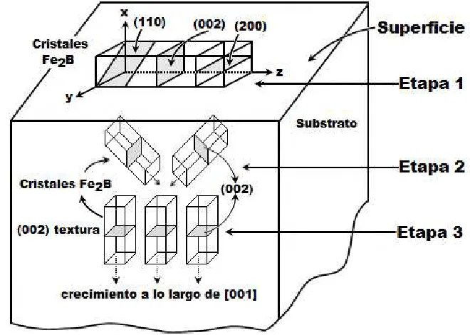 Figura 3.29. Representación esquemática de las etapas del crecimiento termoquímico de los cristales Fe2B: etapa 1, crecimiento sobre la superficie del material; etapa 2, crecimiento en el interior del material; etapa 3, el crecimiento profundo conduce a un