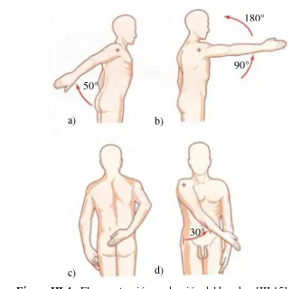 Figura III.4.- Flexo-extensión y aducción del hombro [III.15] 