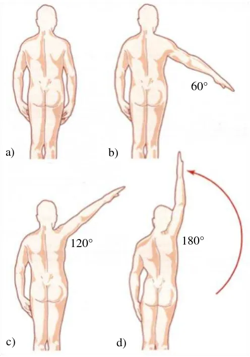 Figura III.5.- Movimiento de abducción del hombro [III.15] 