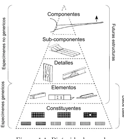 Figura1.1: