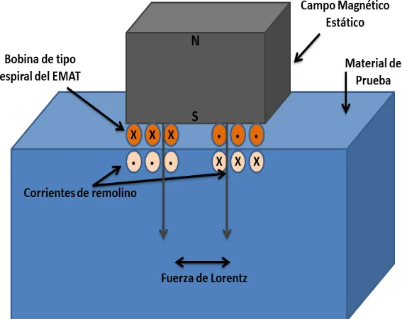Figura 1.1: Fuerza de Lorentz: una corriente de excitación provoca una densidad de corrientesde remolino en la muestra