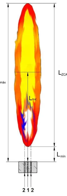 Fig. 3.2 Dimensiones medidas en las termografías tomadas a las llamas del proceso de combustión