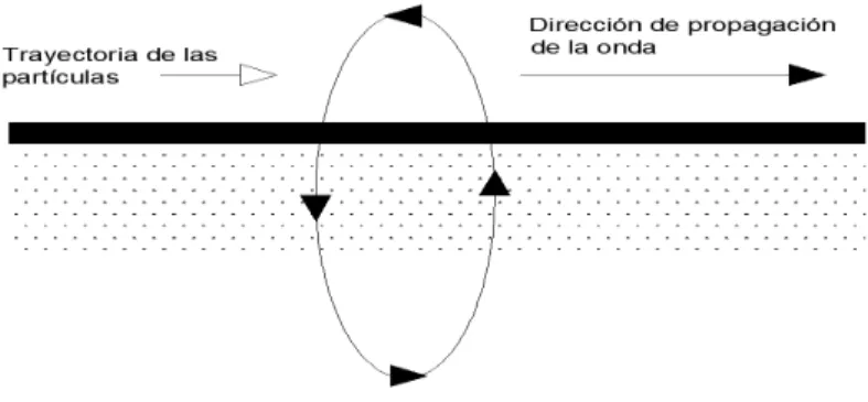 Figura 3 comportamiento elíptico y retrograda de las ondas de Rayleigh 