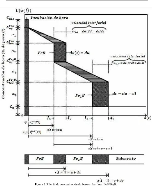 Figura 2.3 Perfil de concentración de boro en las fases FeB/Fe2B.