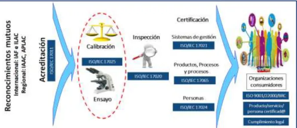 Fig. N°1: Evaluación de la conformidad 