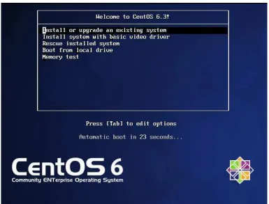 Figura 3.3 Comprobación del disco duro en CentOS 6. 