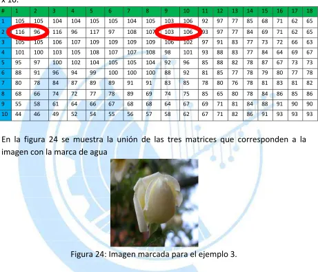 Figura 24: Imagen marcada para el ejemplo 3. 
