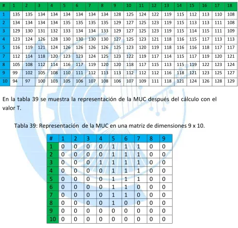 Tabla 39: Representación  de la MUC en una matriz de dimensiones 9 x 10. 