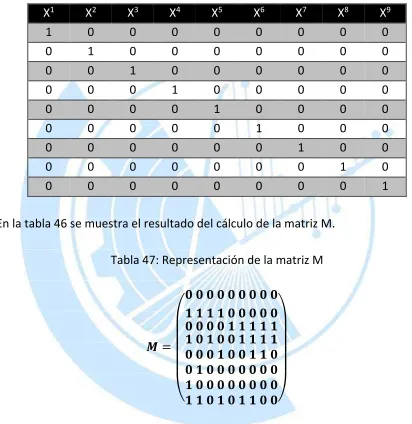 Tabla 47: Representación de la matriz M 