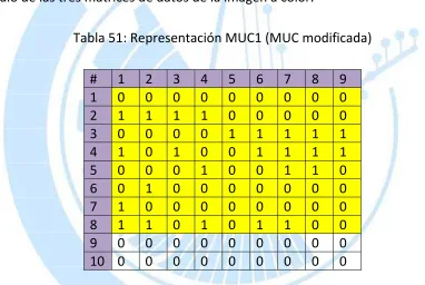 Tabla 51: Representación MUC1 (MUC modificada) 