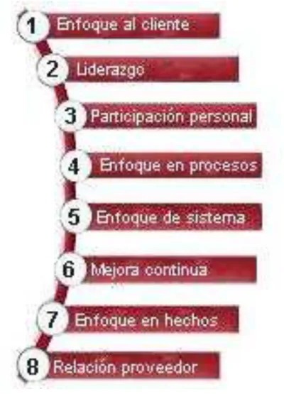 Figura 3. Los ocho principios de la calidad 