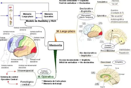 Figura  2.1. Mapa mental de la memoria   
