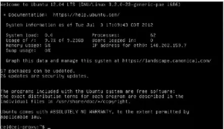 Figura 4.13 Pantalla de inicio de Ubuntu Server. 