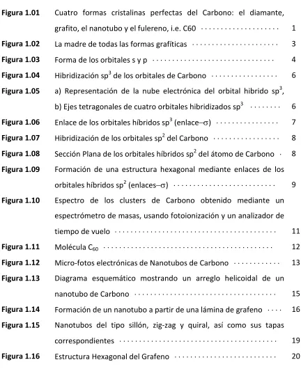 Figura 1.01 