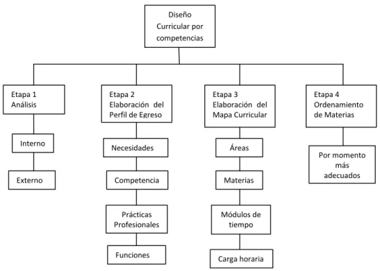 Figura 1.4.1 Etapas de diseño curricular por competencias  Vargas (2005) 