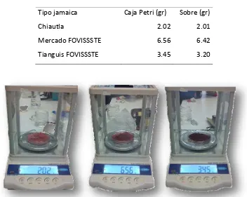 Figura 51 Peso de polvo en caja petri de jamaica de: Chiautla de Tapia, Mercado FOVISSSTE y Tianguis 