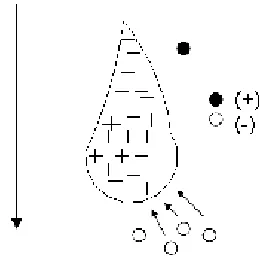Figura 1.3. Fundamento de la teoría de Wilson. 