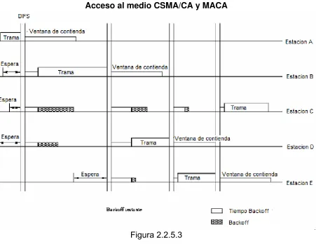 Figura 2.2.5.3 