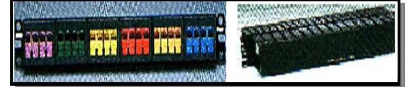 Figura 4.14 Patch panel RJ 45  