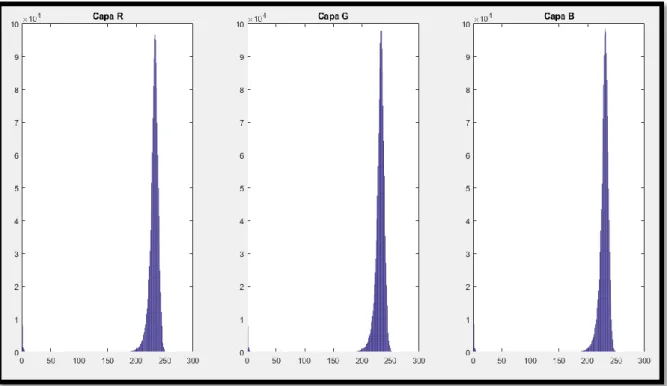 Figura 19. Histograma del cerámico defectuoso en las tres capas (RGB), con amplitud menor a  nueve, dicho parámetro es usado para detectar el buen o mal estado del cerámico