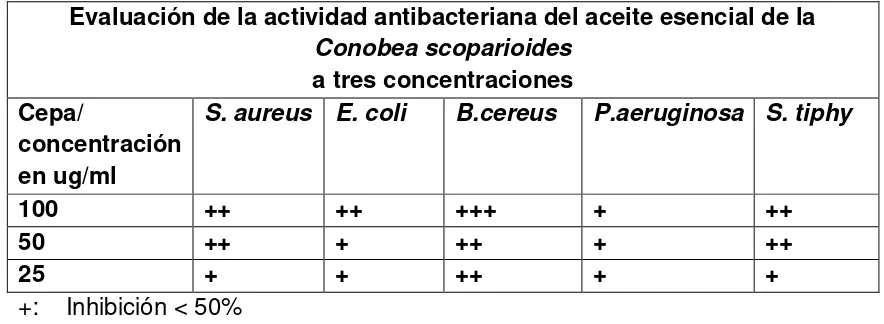 Tabla 5.resultados de la evaluación antibacteriana del aceite esencial e la Conobea scoparioides a tres concentraciones