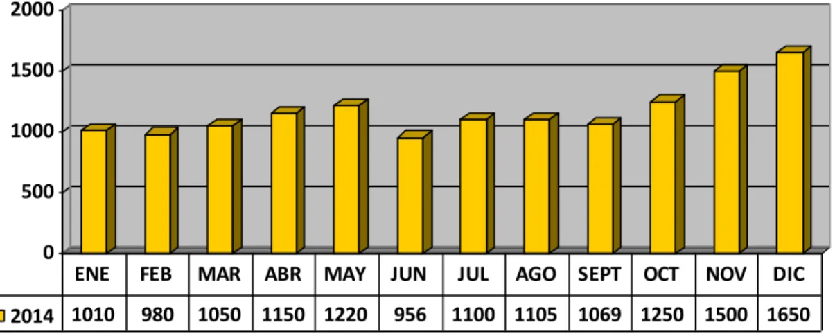 Figura A4. Ventas mensuales del 2014 
