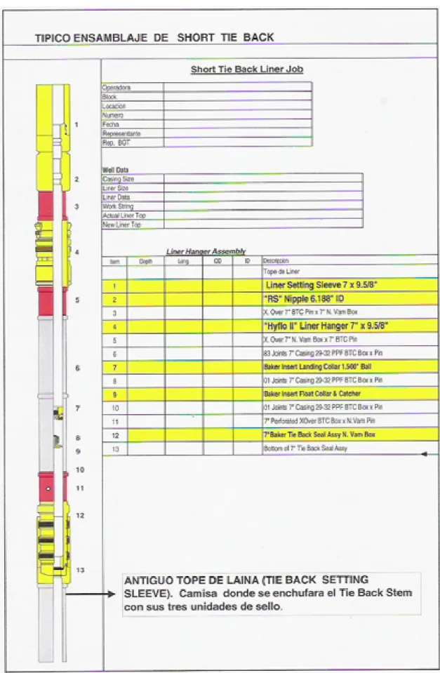 FIG. 4.2 TIPICO ENSAMBLAJE DE SHORT TIE BACK 