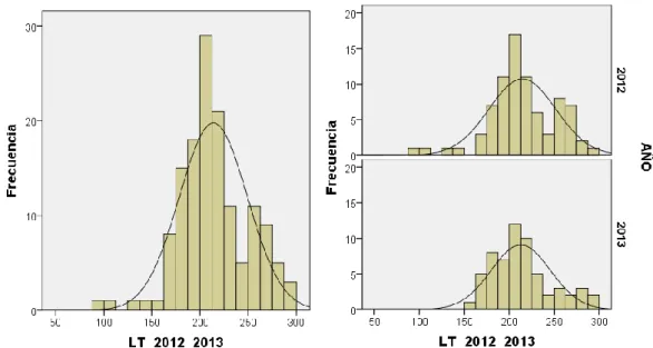 Figura  2.  Distribución  de  tallas  de  tiburones  muestreados  en  ambos  años  y  por  separado 2012 y 2013