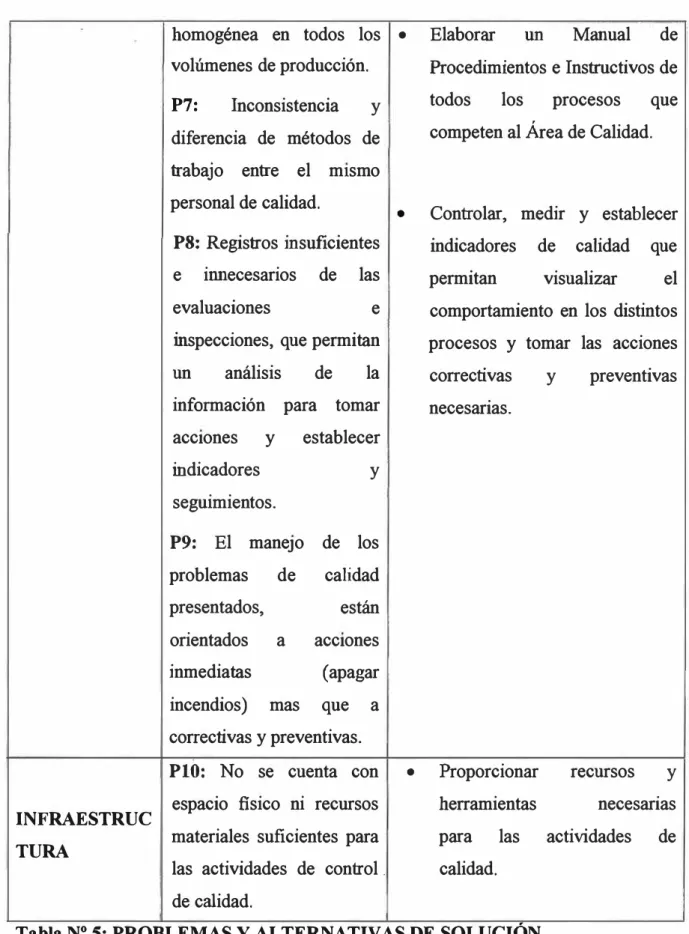 Tabla N º  5: PROBLEMAS Y ALTERNATIVAS DE SOLUCION 