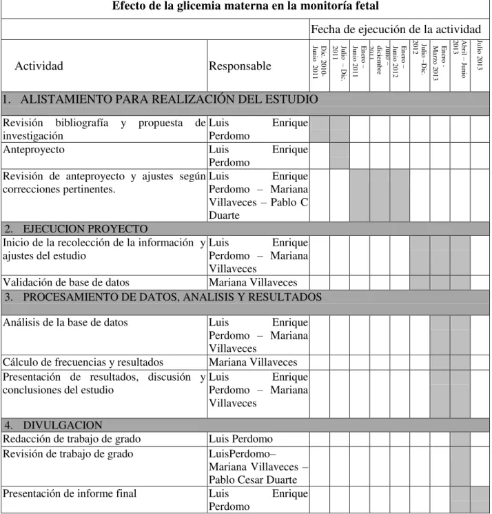 Tabla 4. Cronograma del estudio 