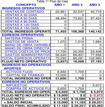 Tabla 11 Flujo de Caja 