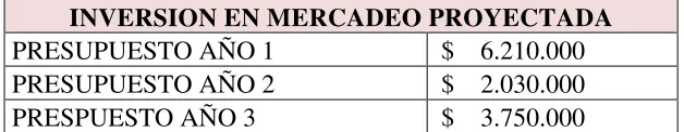 Tabla 15. Inversión de mercadeo proyectada 