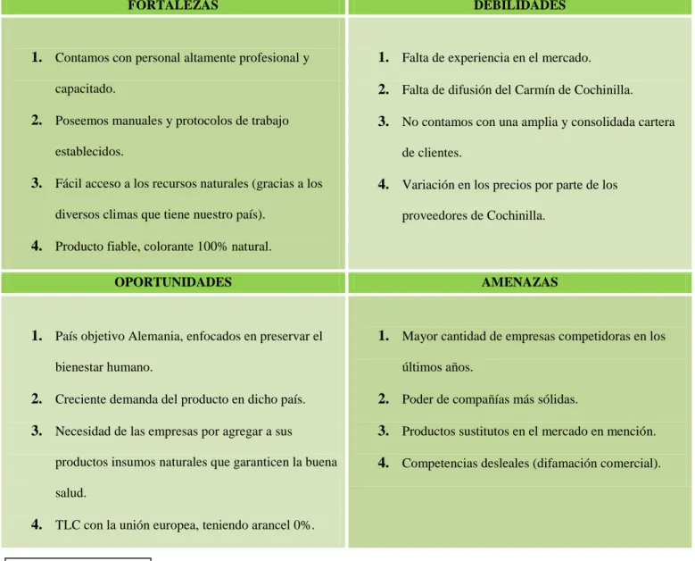 Tabla 2: Análisis FODA 