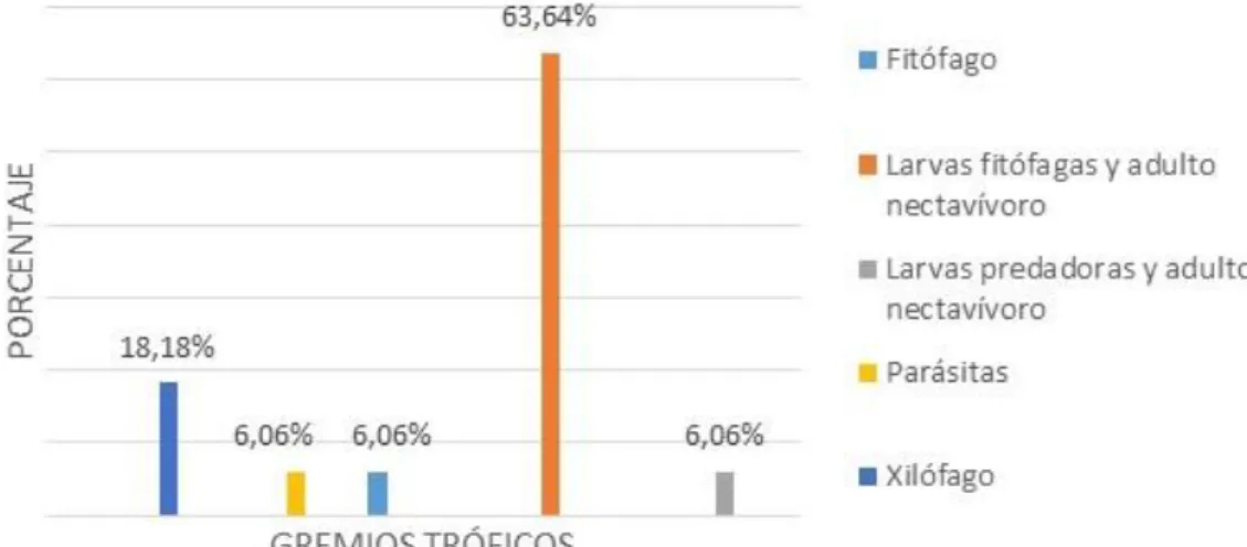 Figura 9. Proporción de gremios tróficos por la división Endopterigota y familias en el  Parque Histórico de Guayaquil