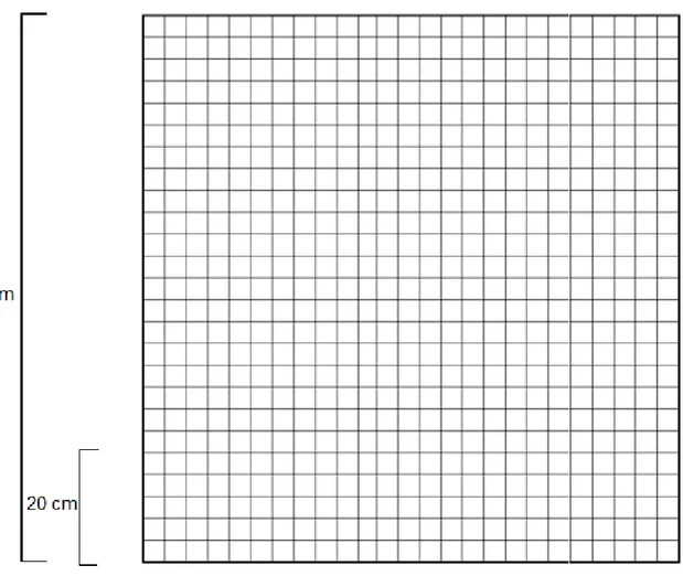 Figura 1. Cuadricula de metro cuadrado y 5 cuadrantes de 20 centímetros cada uno.  