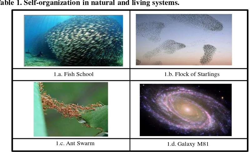Table 1. Self-organization in natural and living systems. 