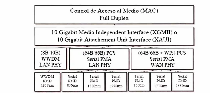 Figura 1.1.- Los componentes de la arquitectura del Estándar lEEE 802.3ae* 