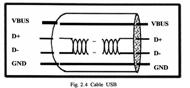 Fig. 2.4  Cable  USB 
