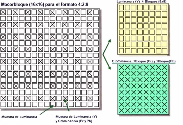 Fig.  2.  7  Bloques y macrobloques para el formato 4:2:0 