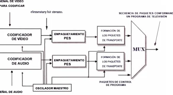 Fig. 2.14  Esquema general del sistema de transporte y multiplexage 