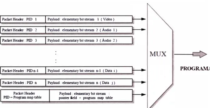 Fig. 2.17  Multiplexage para la conformación de programas 