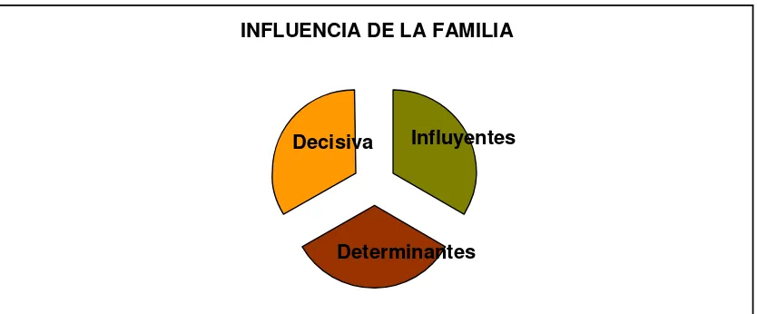 Figura 7: Importancia de la familia 