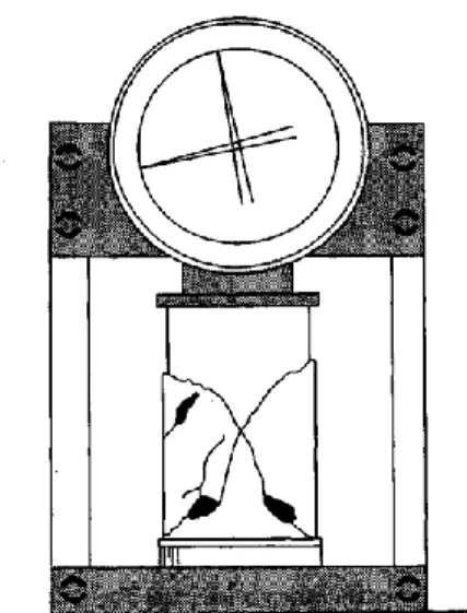 Figura 6 Falla en compresión de un cilindro de hormigón. 